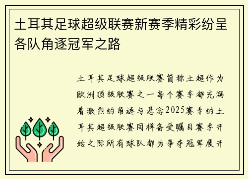 土耳其足球超级联赛新赛季精彩纷呈各队角逐冠军之路